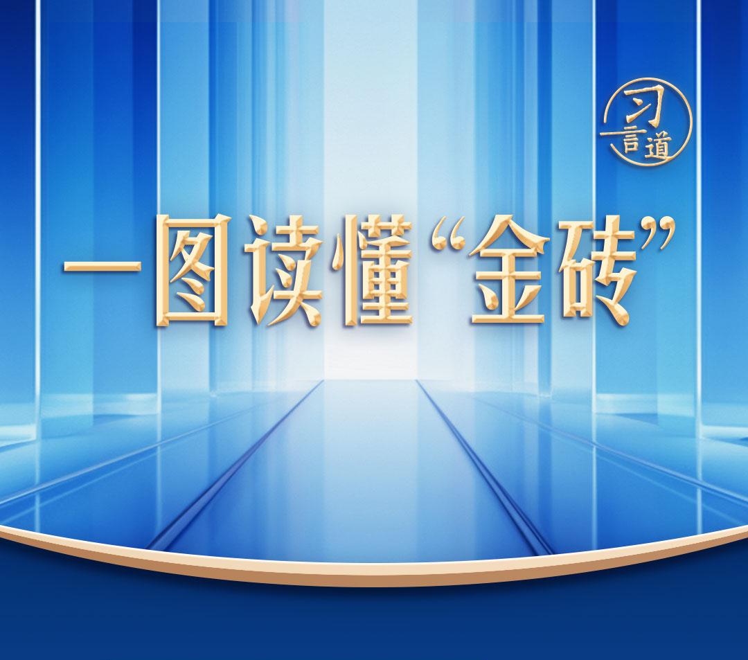 【众行致远】习言道｜一图读懂“金砖”从何而来