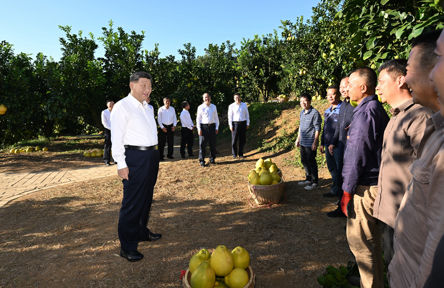 奋进的回响｜沃野的答卷