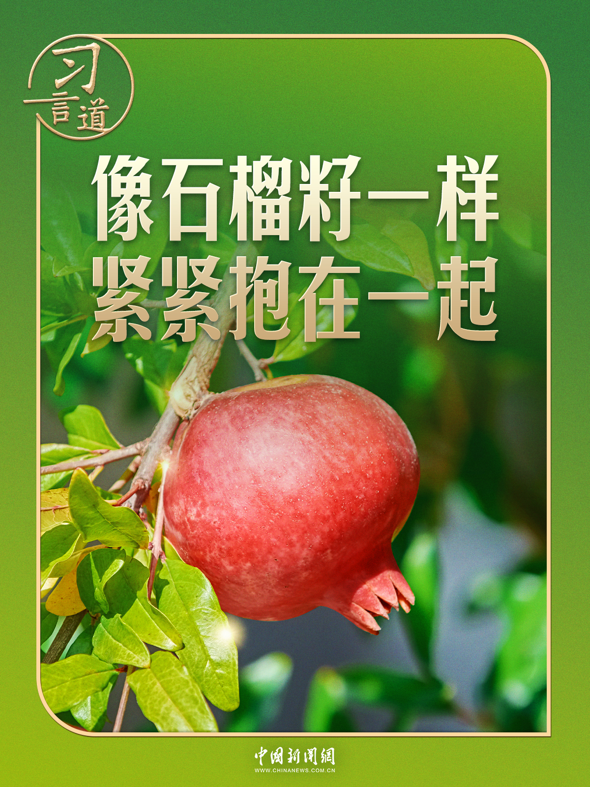 习言道｜“石榴子”之喻，有了坚实的法治保障