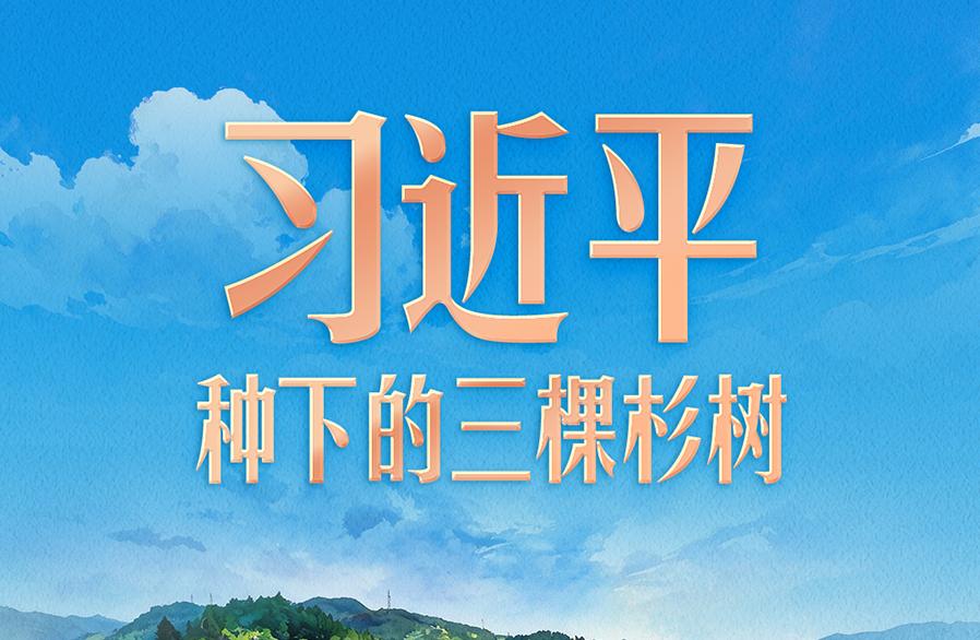 习言道｜习近平种下的三棵杉树